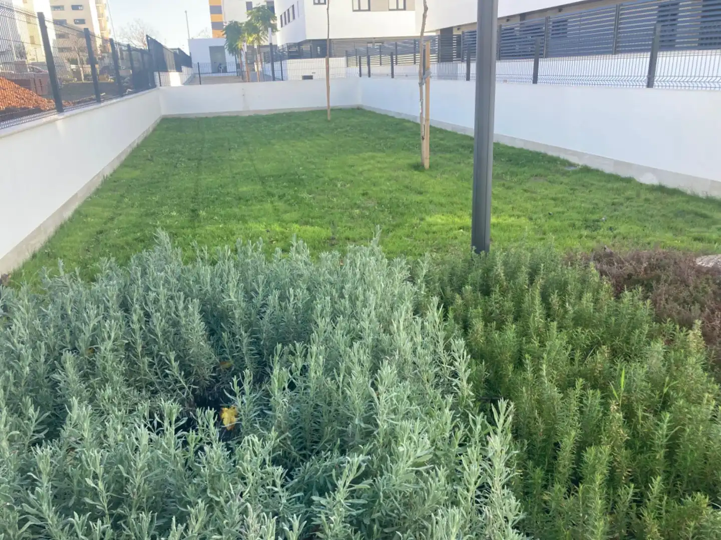 Flat for rent in Poniente-Norte - Miralbaida - Parque Azahara