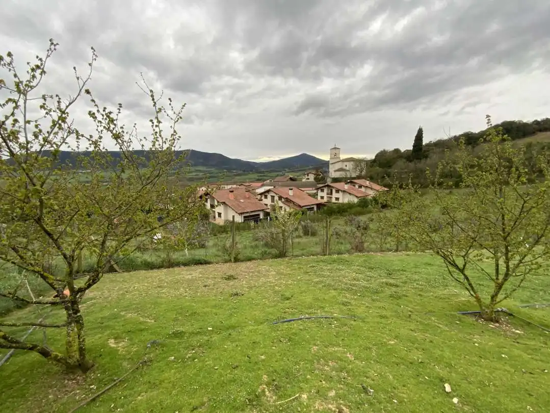 Houses for sale in Erriberagoitia / Ribera Alta  with Heating, Private garden and Terrace