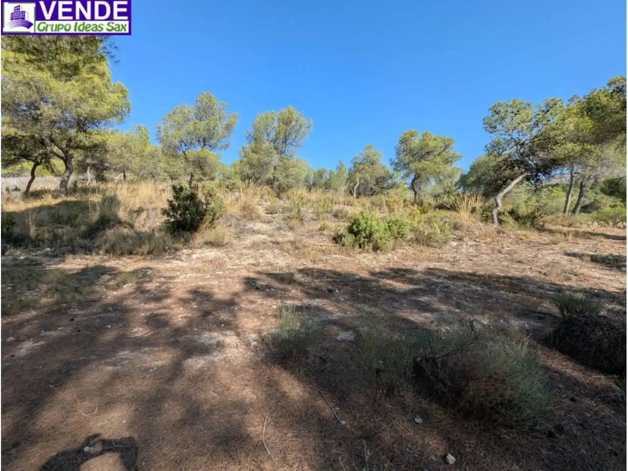 Finca rústica en venda a Sax