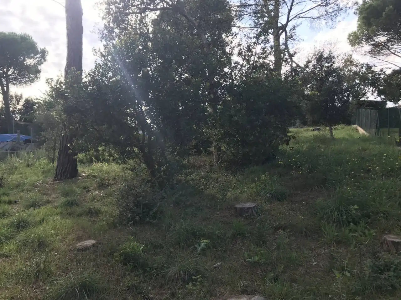 Terreno residencial en venta en Can Martí de les Barraques, imagen 7