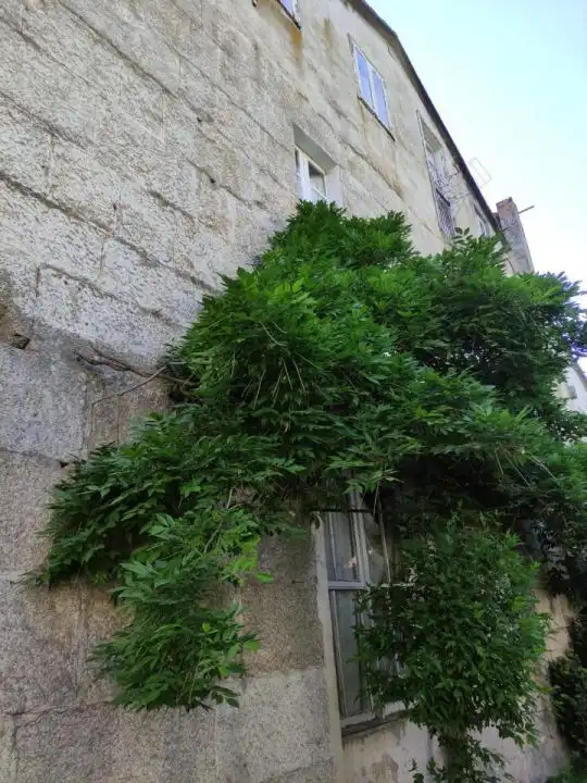 House with terrace for sale in O Carballiño, imagen 33