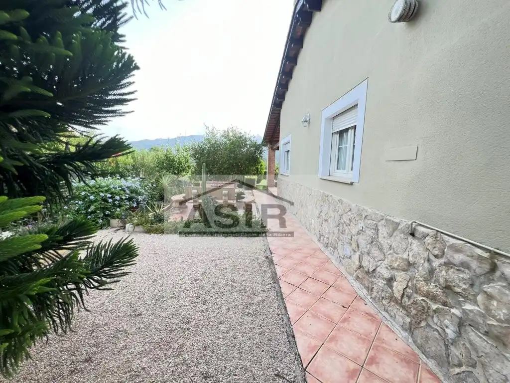 Jardín de Casa o chalet en venta en Alzira