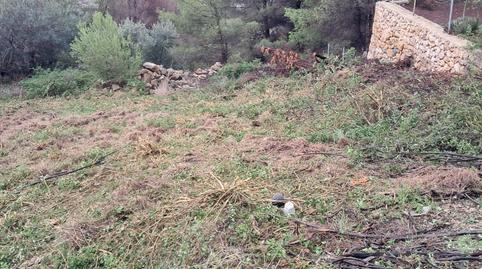 Foto 2 de Residencial en venta en Serrans D´els, Pedreguer, Alicante