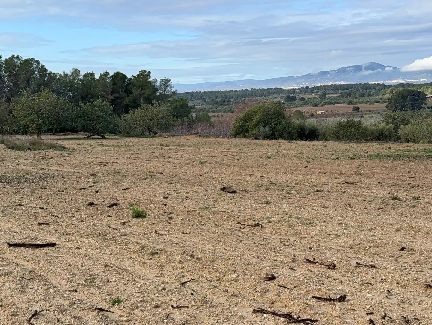 Terrain rustique à vendre à Cami Futbol 14A