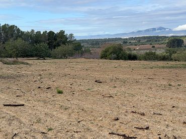 Terrain rustique à vendre à Cami Futbol 14A