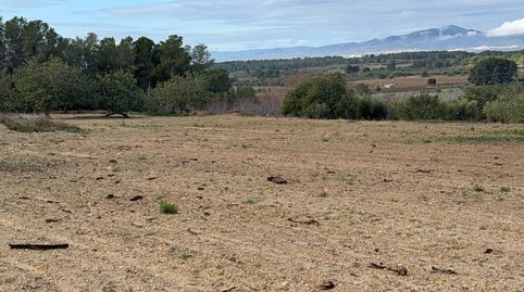 Finca en Vallmoll