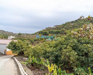 Finca rústica en venda en Frigiliana