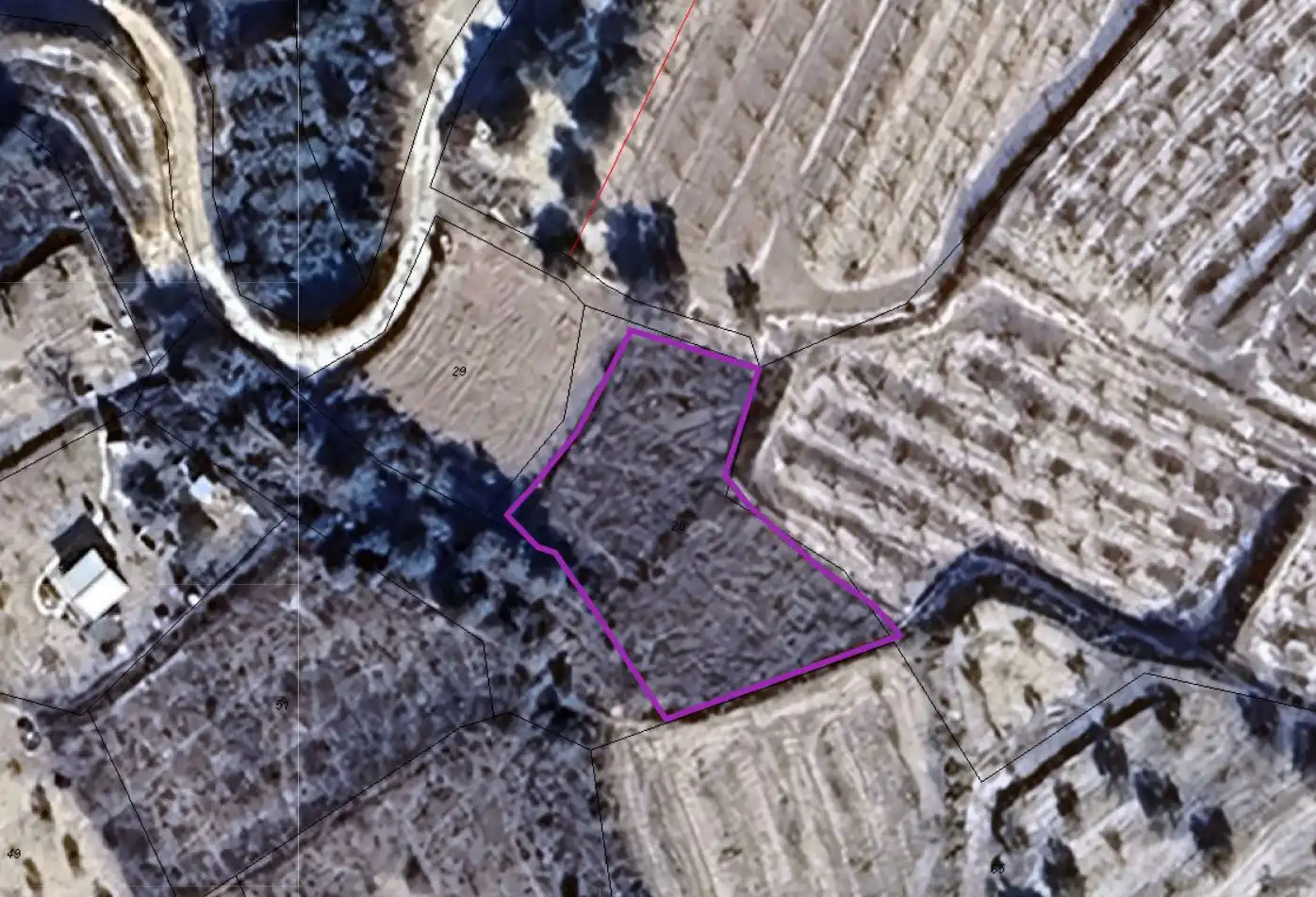Lands and plots for sale in Pliego
