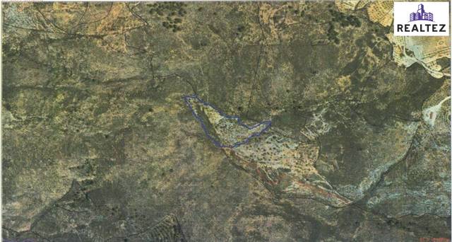 Terreno en Venta en Alcolea