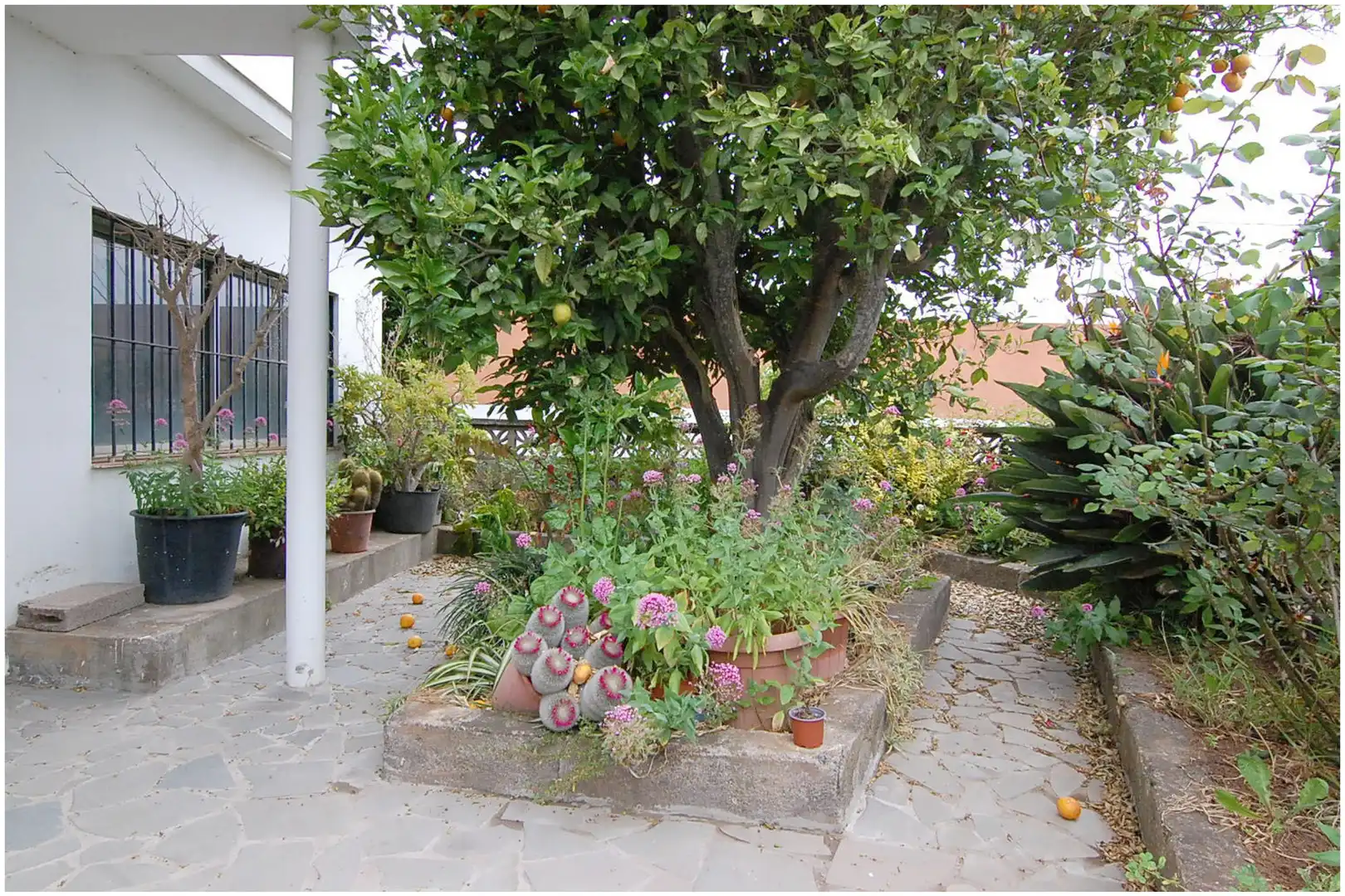 Jardí de Casa o xalet en venda en El Rosario amb Calefacció, Jardí privat i Terrassa