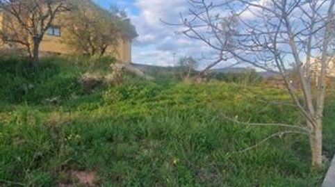 TERRENO PARA 2 CASAS PAREADAS, immagine 4