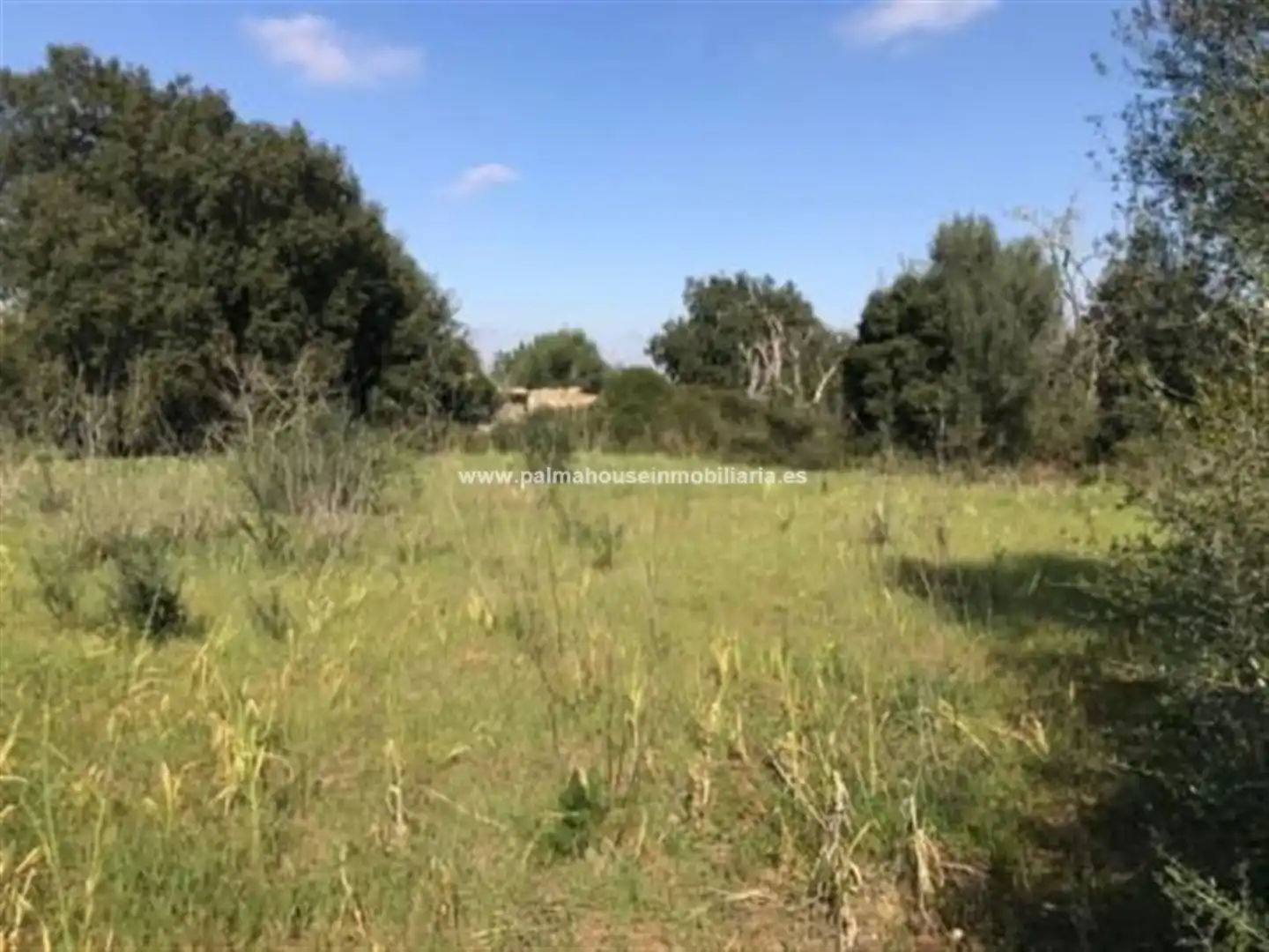 Wohnbaugrundstück zum Verkauf in Llubí, imagen 18
