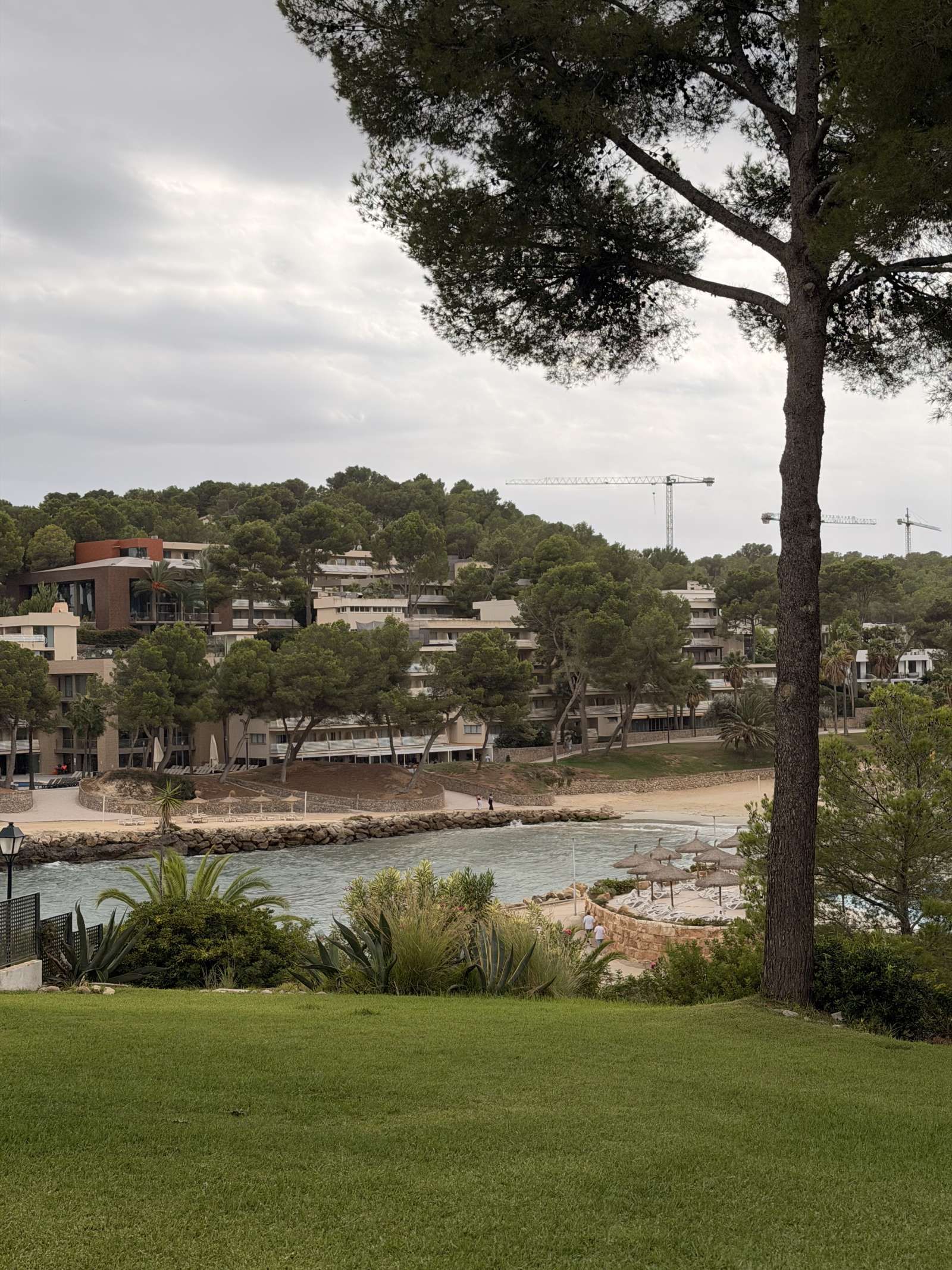 Vista exterior de Apartament per a compartir en Calvià amb Aire condicionat, Terrassa i Moblat