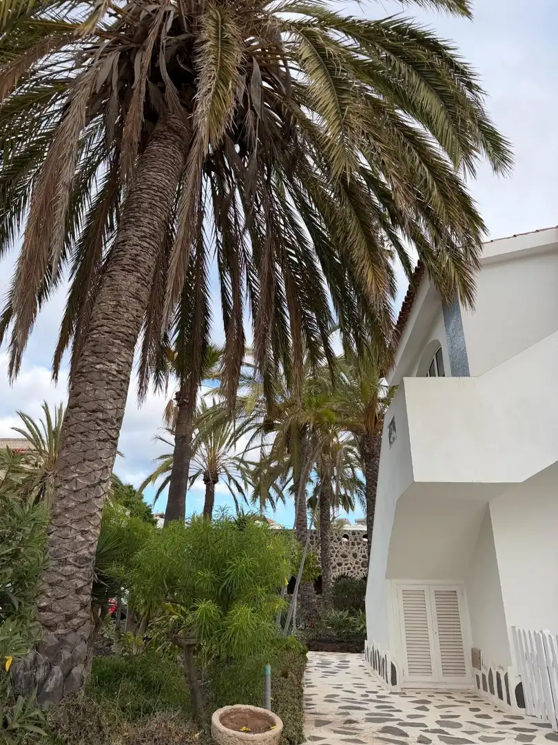 Vista exterior de Pis en venda en Arona amb Jardí privat, Terrassa i Moblat