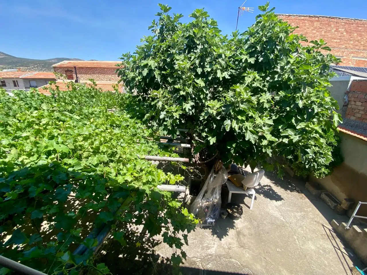 Habitatge amb jardí en venda a Calle Paradores, imagen 45
