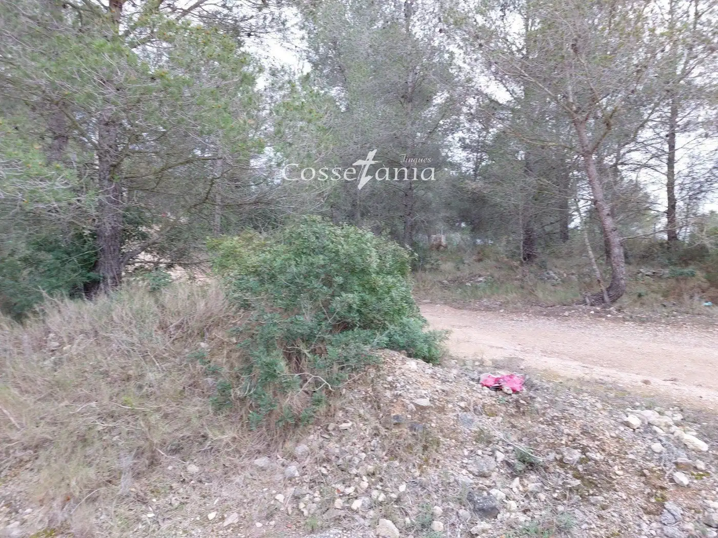 Rural land for sale in avet de l'  en  la masieta, imagen 2