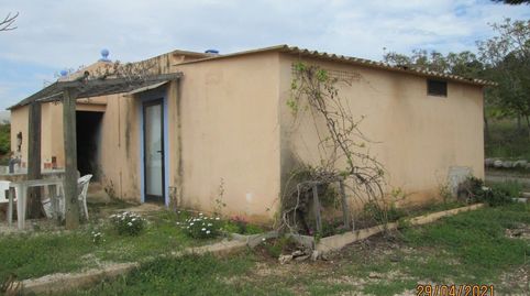finca con caseta, balsa  y agua a 9 km del centro de Vinaròs, imatge 4
