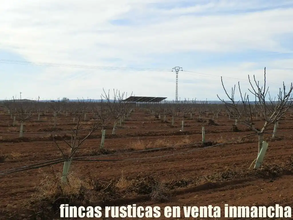 Jardín de Terreno en venta en Albacete