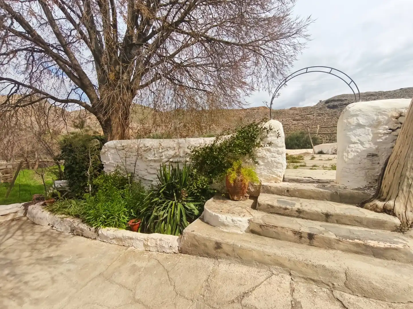 Jardí de Finca rústica en venda en Abla
