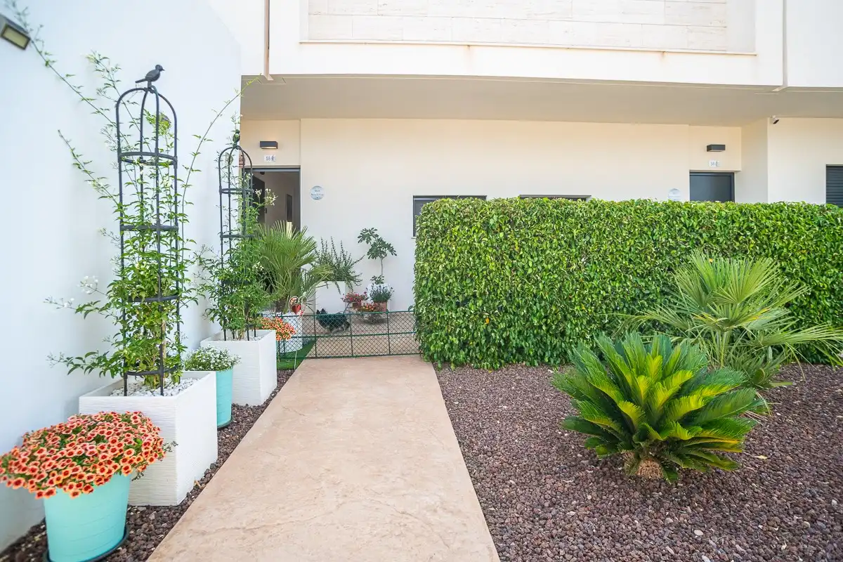 Apartament en venda a Pilar de la Horadada ciudad, imagen 35
