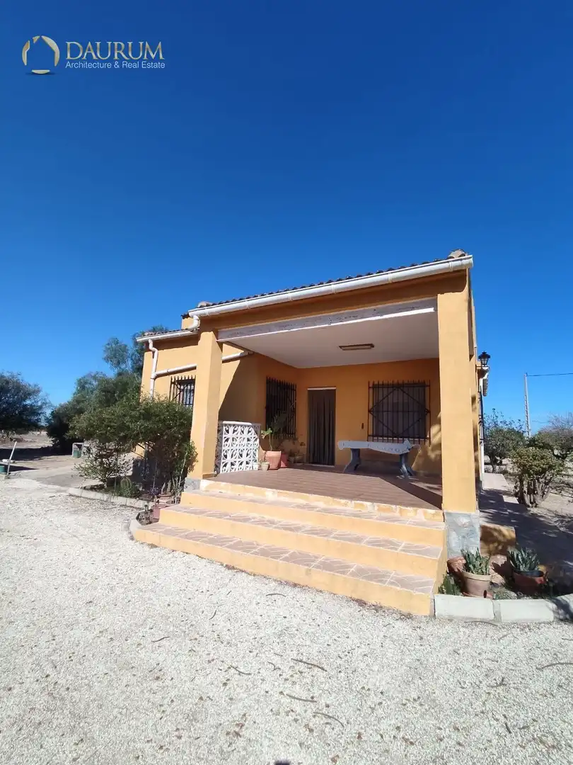 Vista exterior de Casa o chalet en venta en Elche / Elx