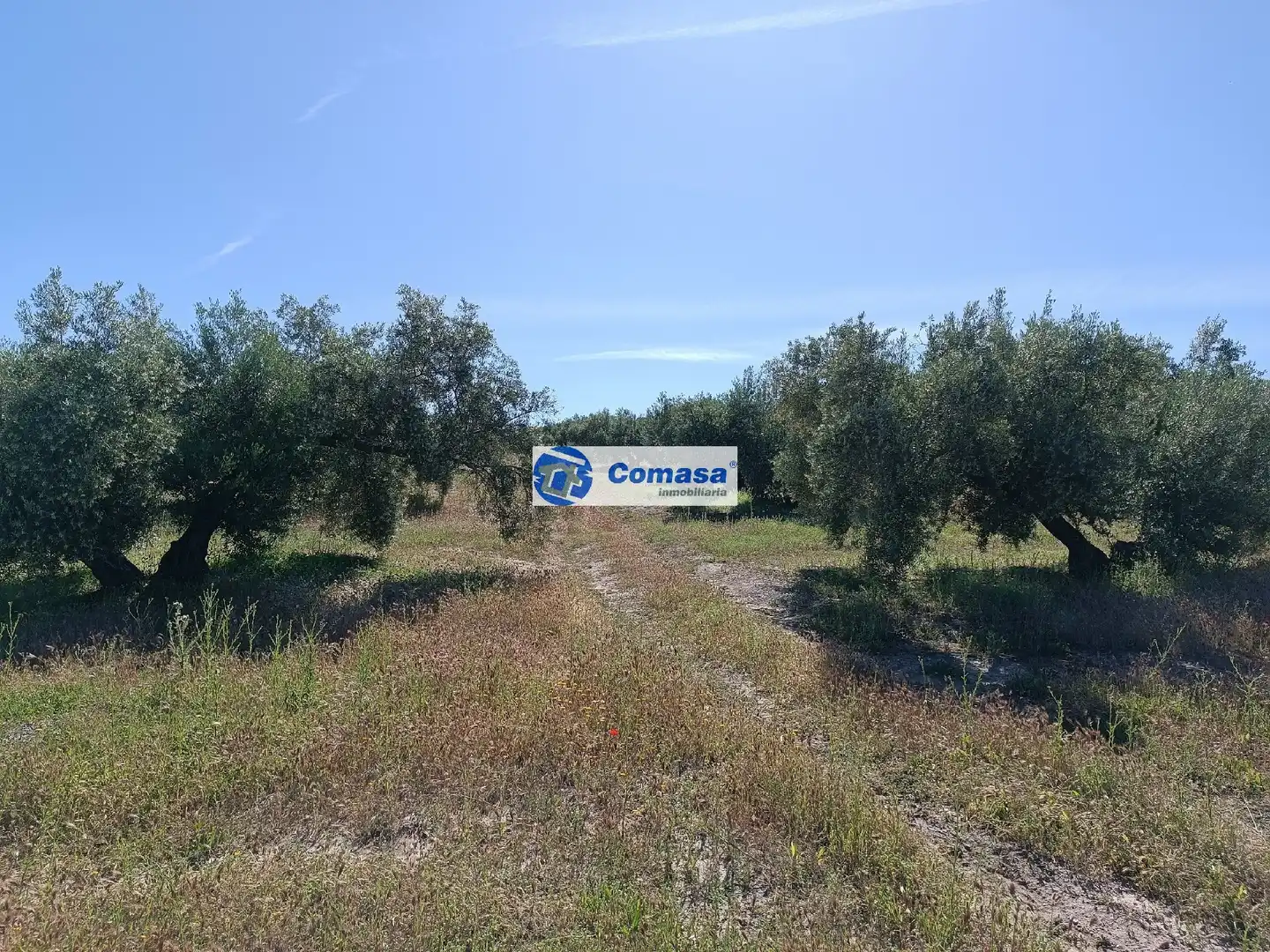 Casa en venta en Martos, imagen 14