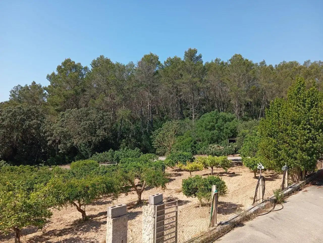 Jardín de Casa o chalet en venta en Lloret de Vistalegre