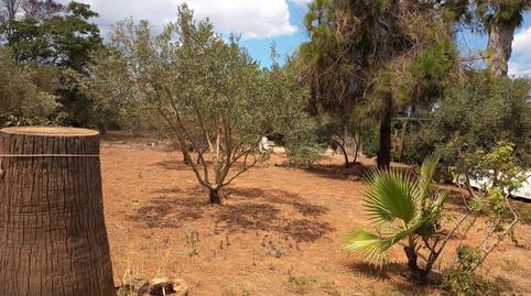 Foto 4 de Finca rústica en venta en N/a, -1, Son Riera - Aeroport, Illes Balears