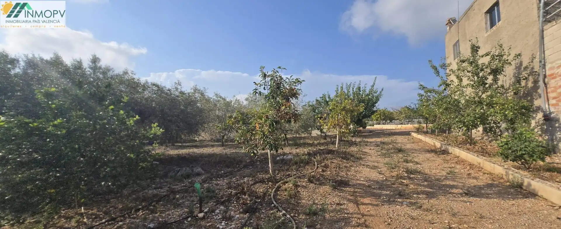 Finca rústica en venda en Vinaròs