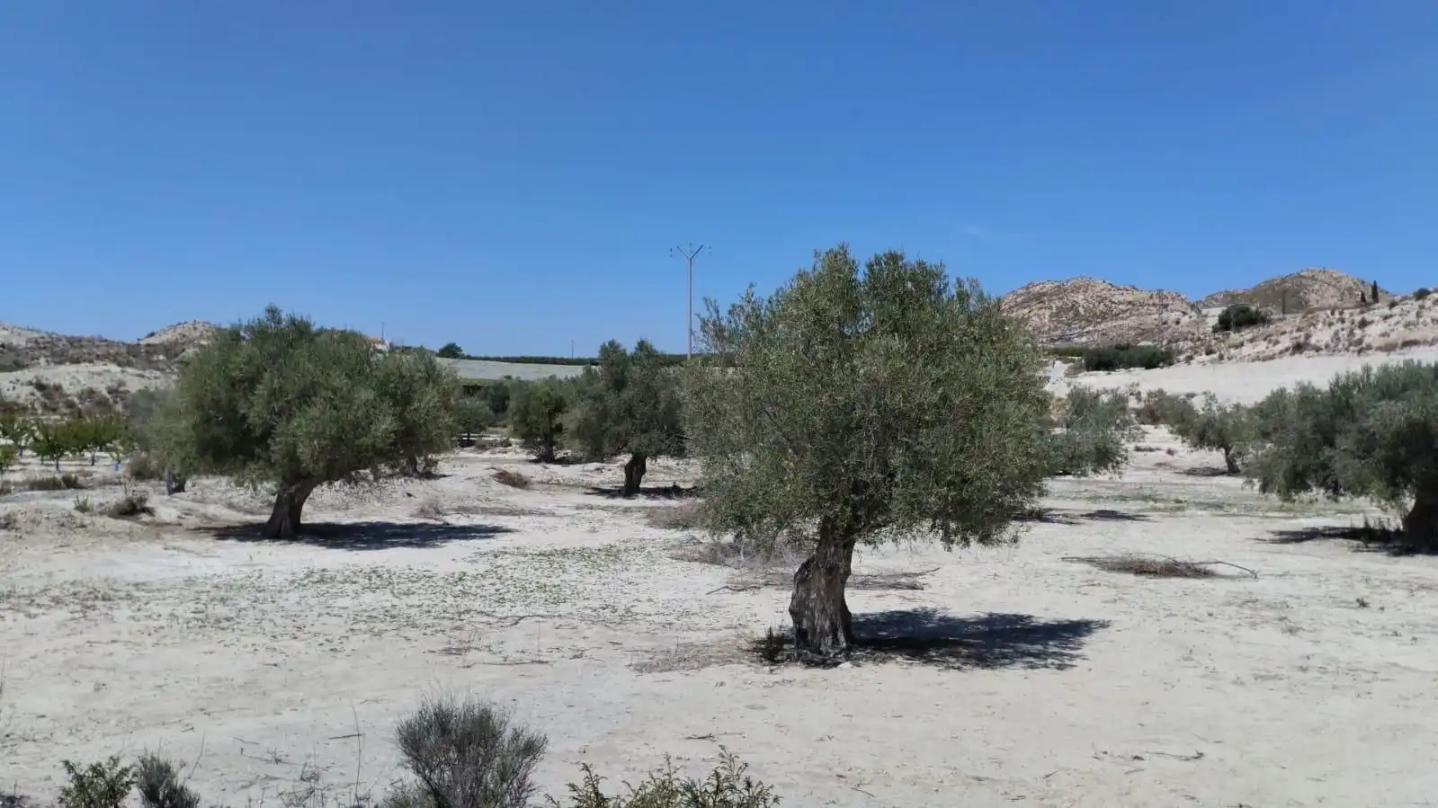 Grundstücke zum Verkauf in Molina de Segura
