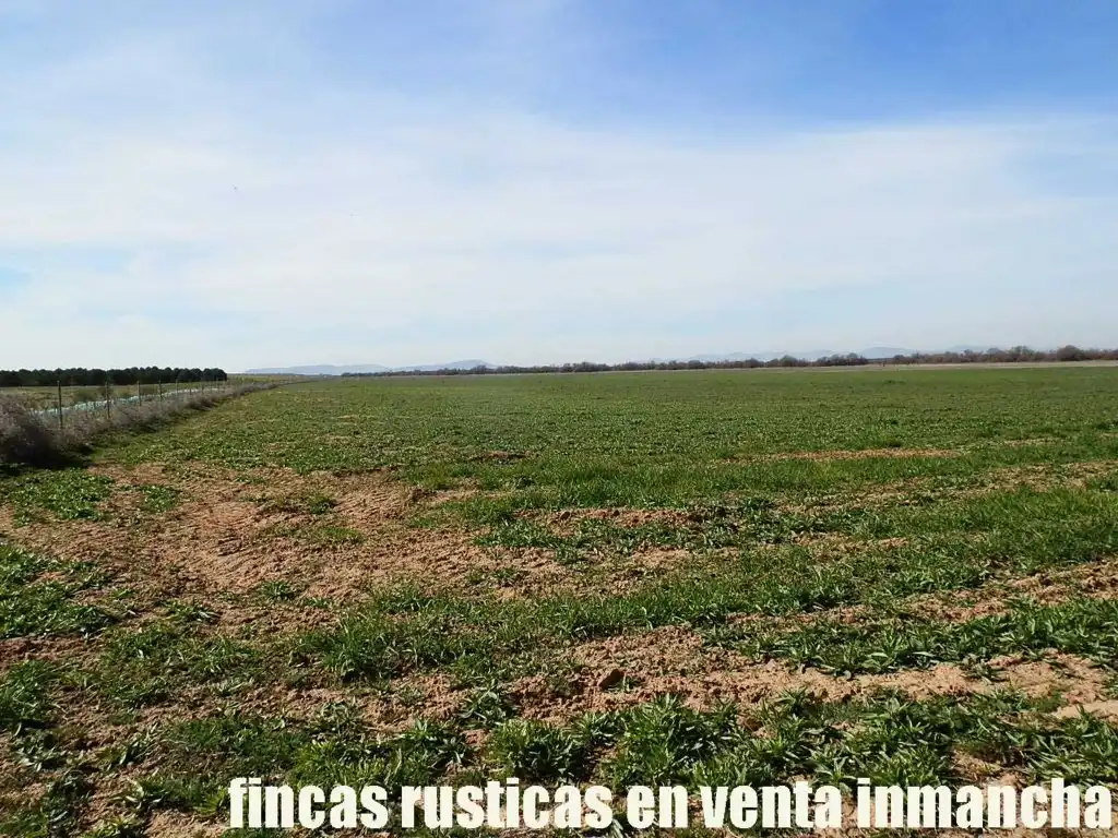 Rural land for sale in Madridejos, imagen 12