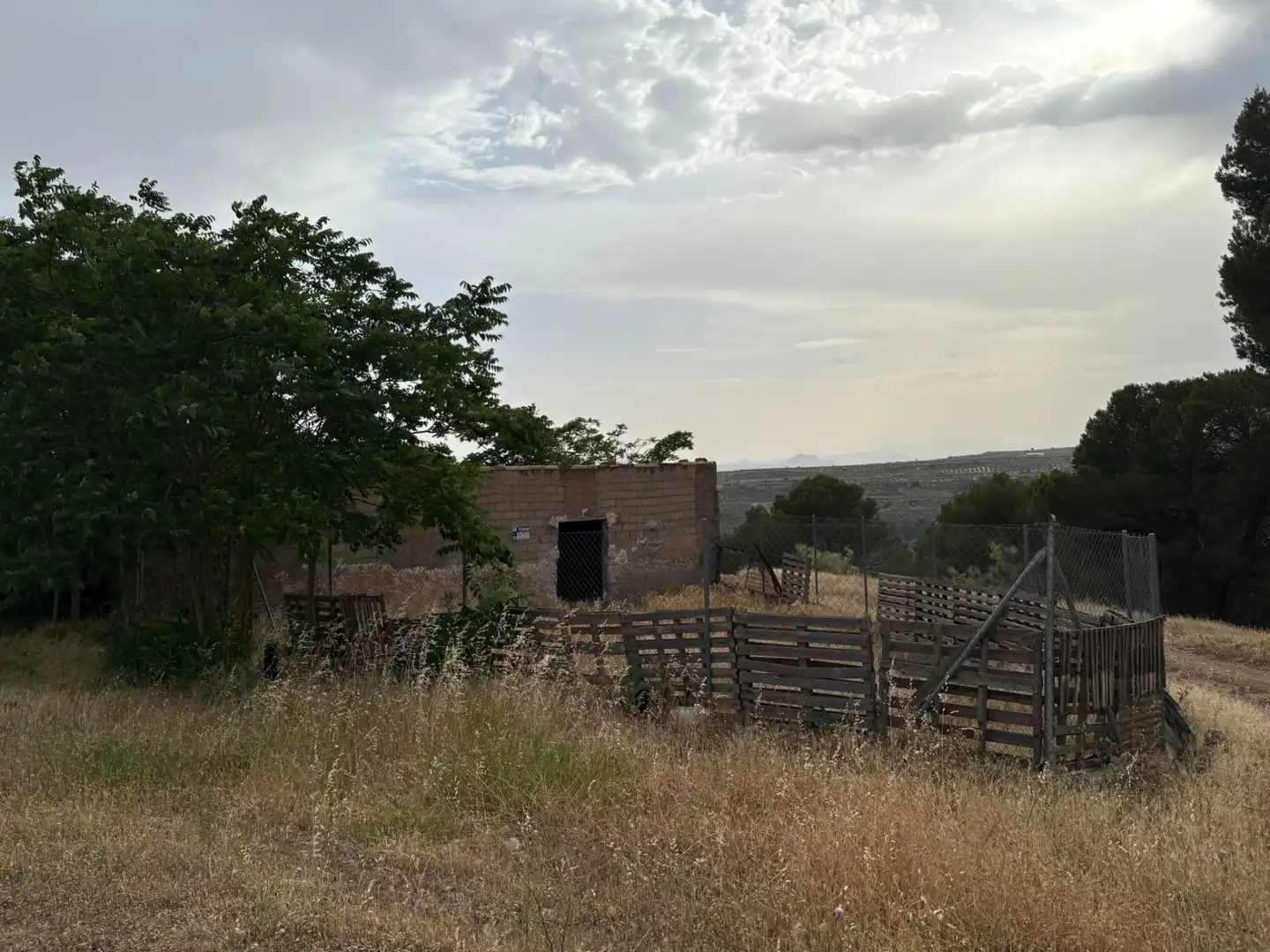 Terreno rústico en venta en Cortes de Baza, imagen 2