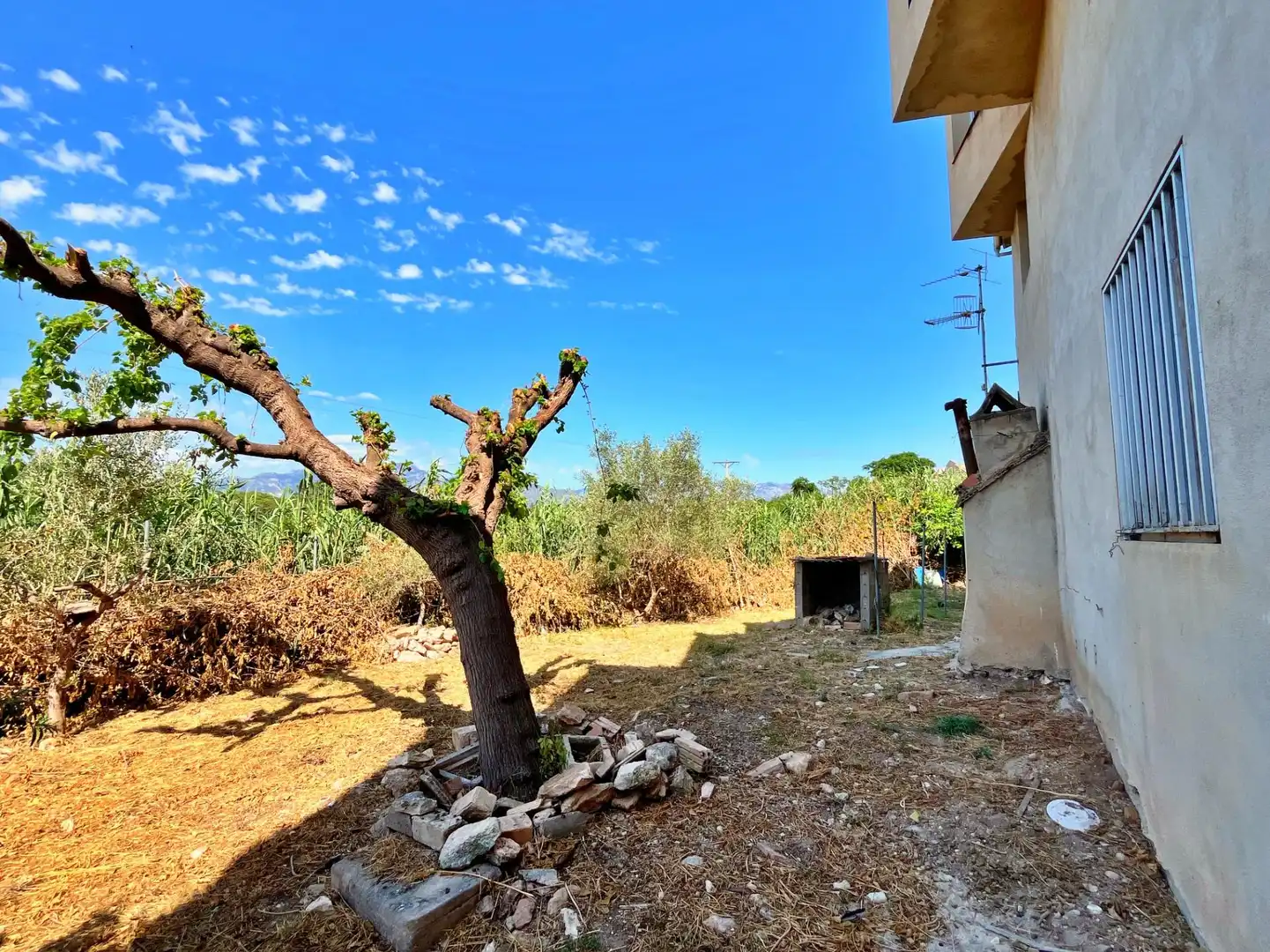 Maison à vendre à Jesús - Els Reguers, imagen 53