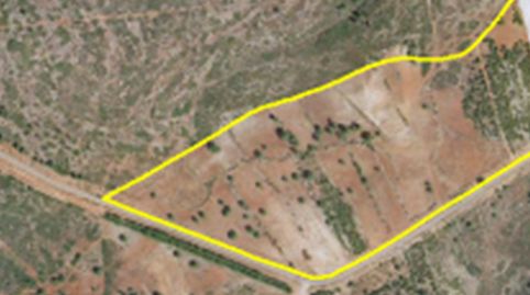 V14963 FINCA AGRICOLA SIN CULTIVAR, OPCIÓN REGADÍO Y VIVIENDA