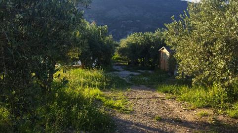 Foto 5 de Finca rústica en venda a Motril  ciudad, Motril