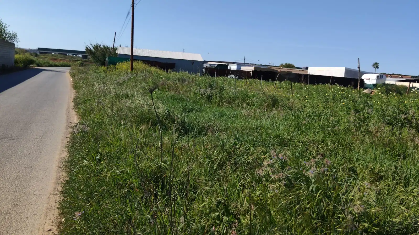 Rural land for sale in Coria del Río, imagen 3