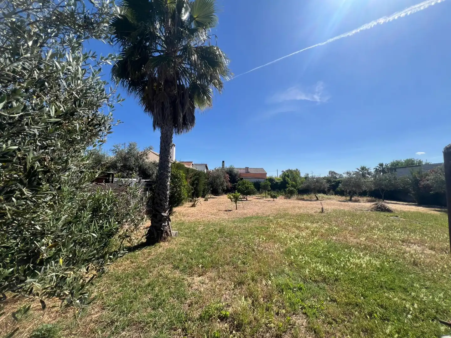 Land for sale in Los Palacios y Villafranca