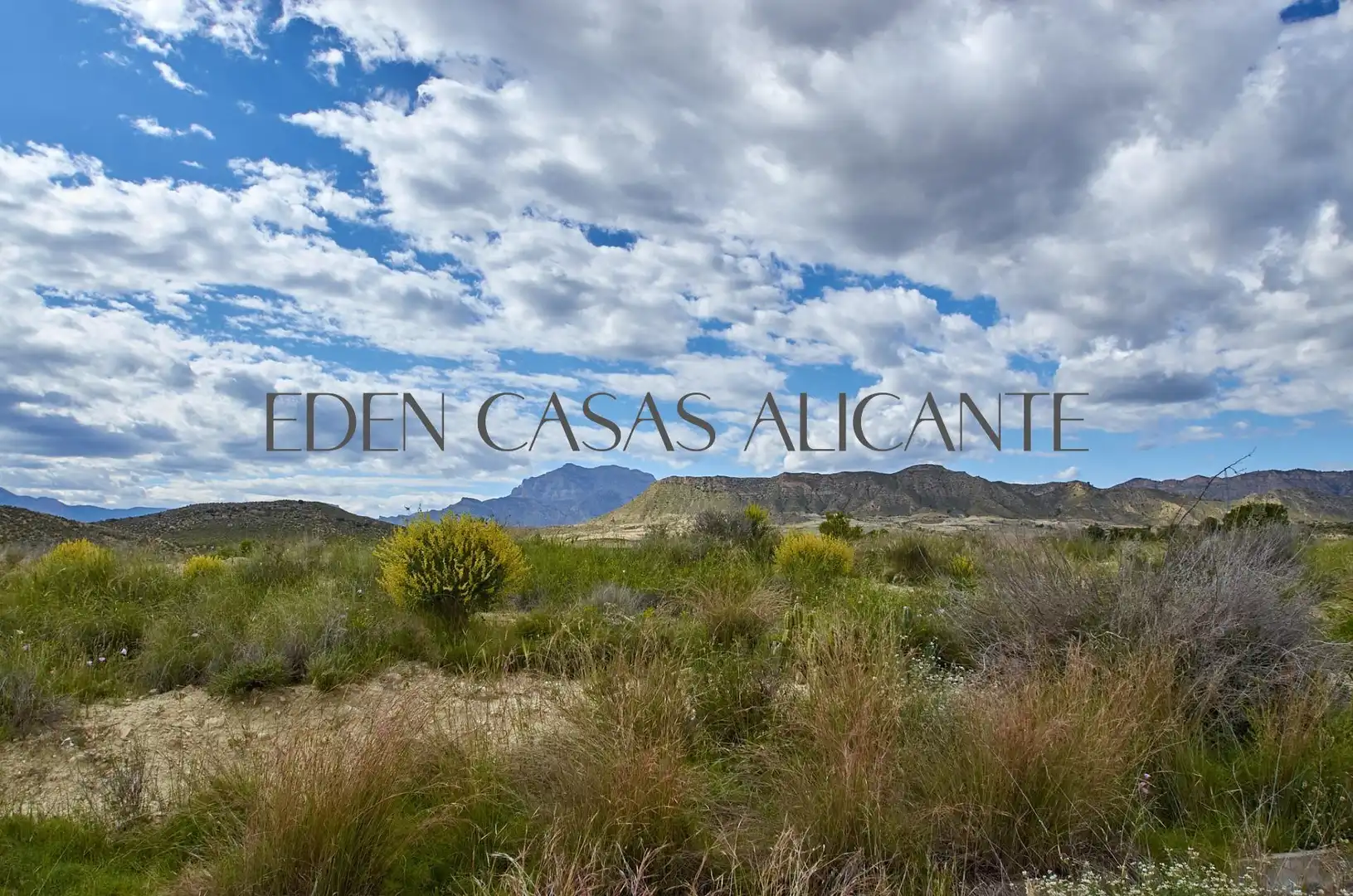 Detached house with pool for sale in Calle MIGJORN-UR LLANO PASTORES, imagen 50