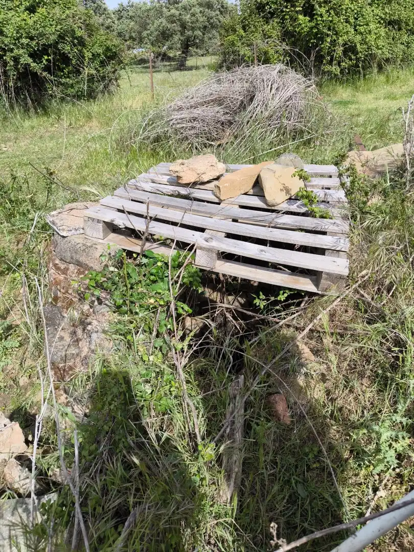 Rural land for sale in Fuente Obejuna, imagen 13