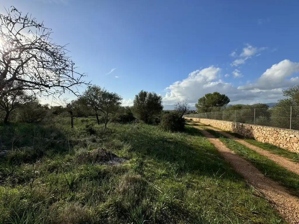 Terreny rústic en venda a Sa Cabaneta, imagen 5
