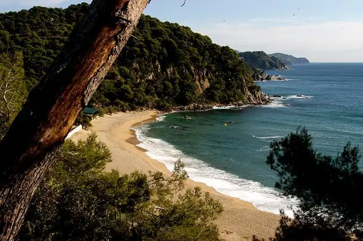 Terrenos y solares en venta en Roca Grossa, imagen 9