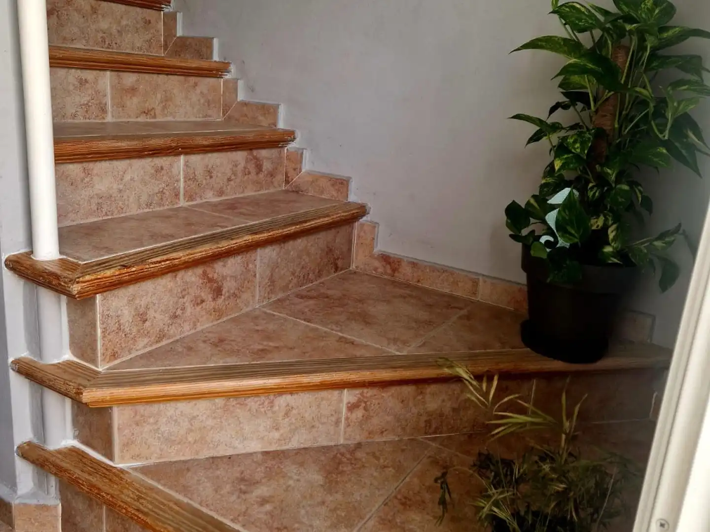 Casa o chalet en venta en Campanillas