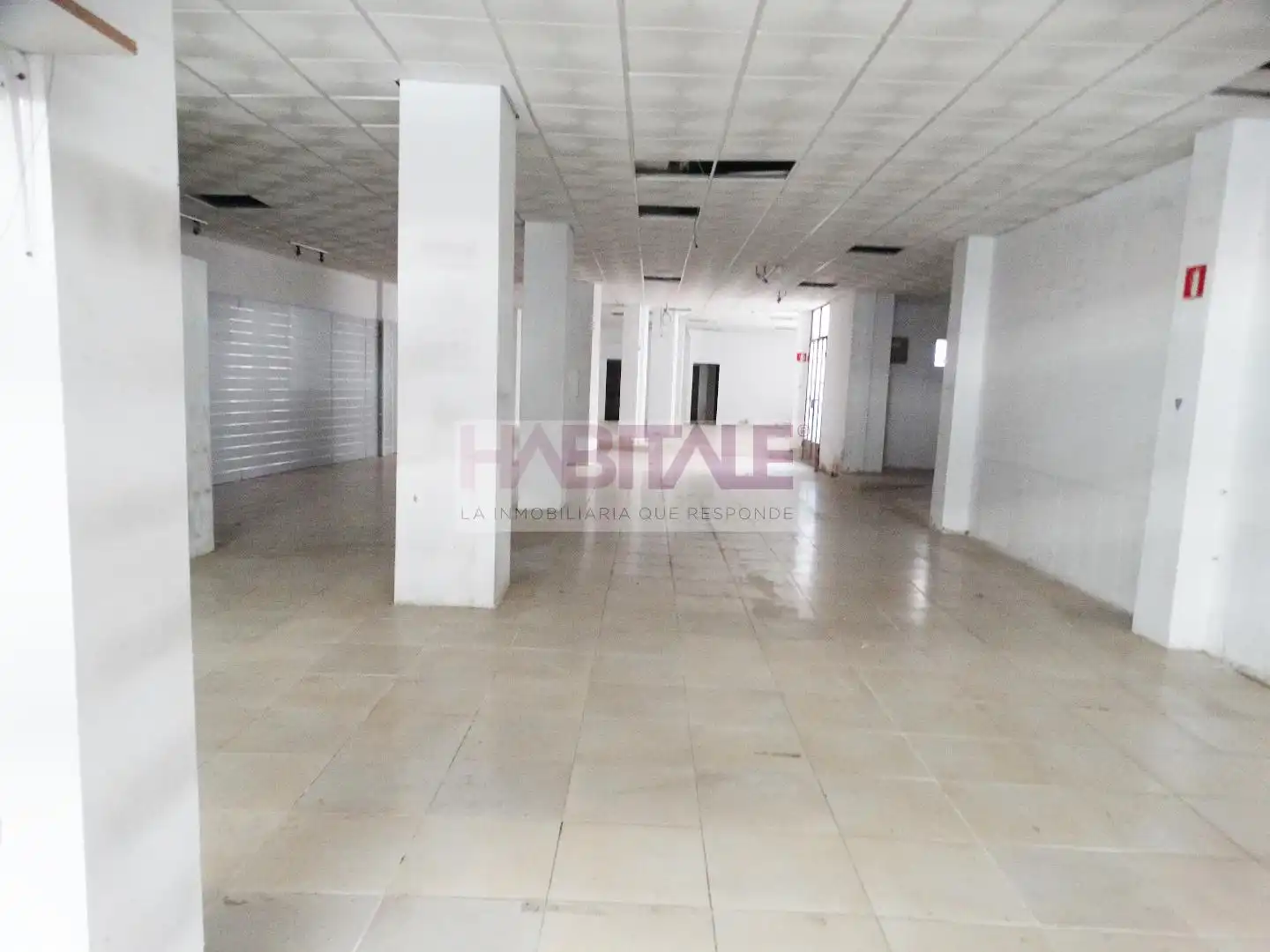 Local comercial de lloguer a Xàtiva