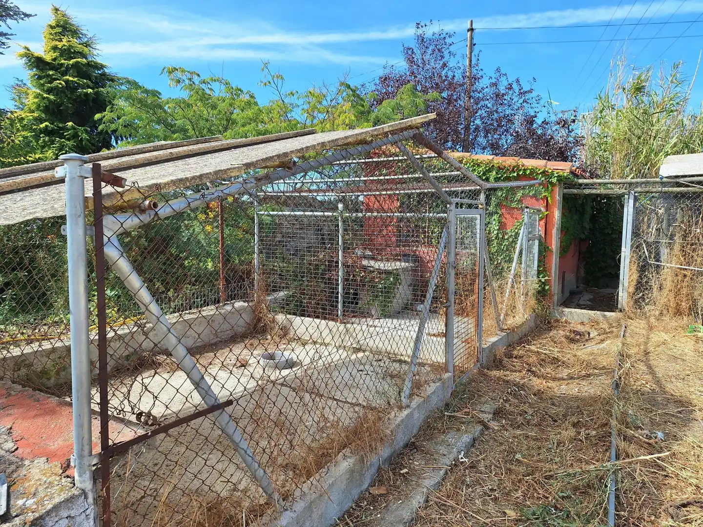 Jardín de Finca rústica en venta en Peñaranda de Bracamonte