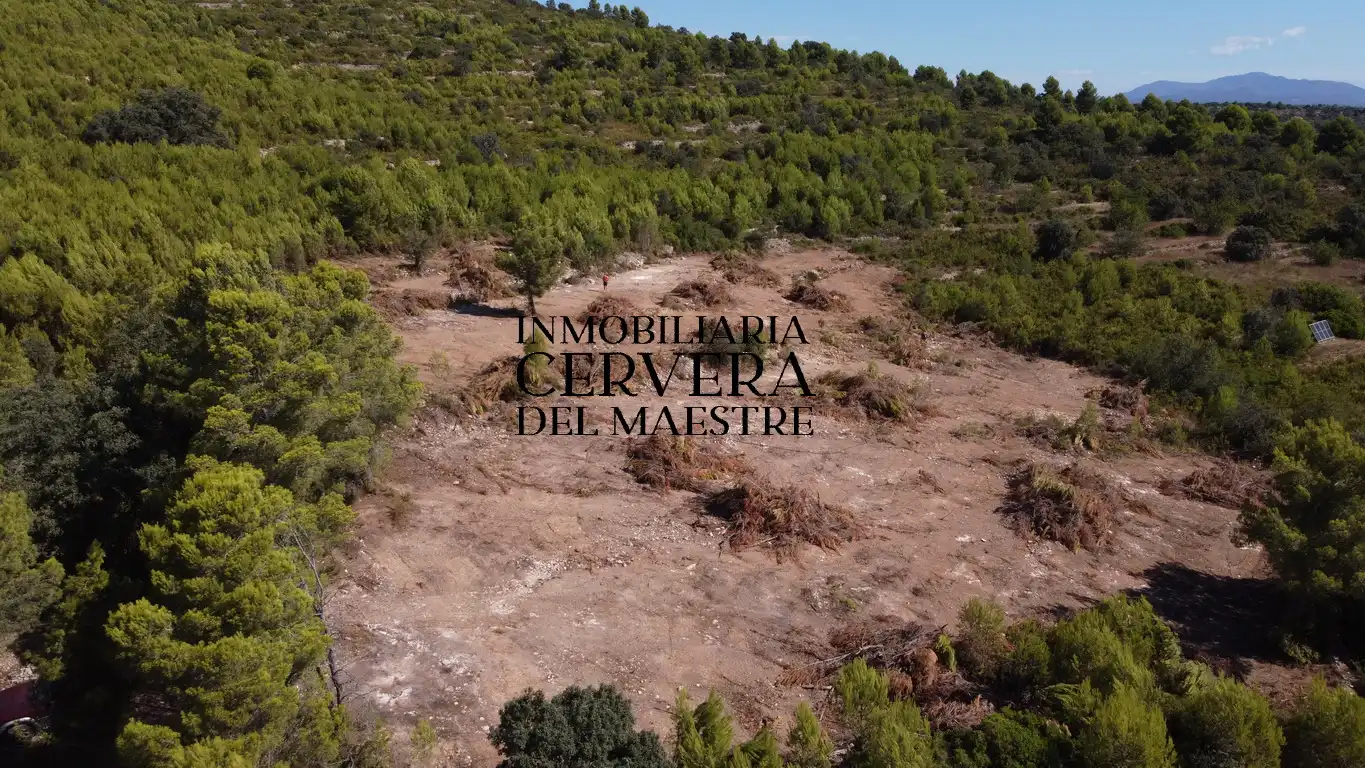 Terreno rustico in vendita a Cervera del Maestre, imagen 9