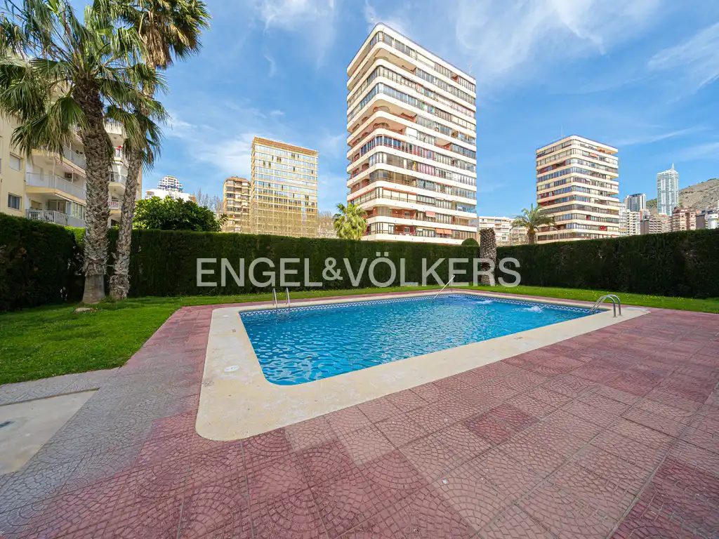 Schwimmbecken von Wohnungen zur Miete in Benidorm mit Klimaanlage, Möbliert und Gemeinschaftspool