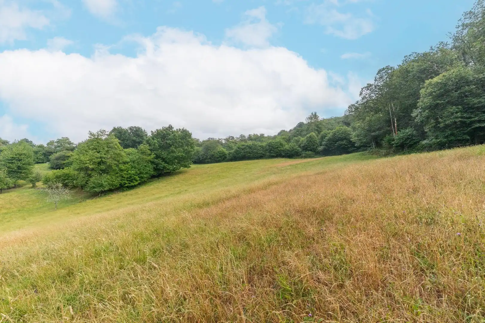 Finca rústica en venta en Sobrescobio con Jardín privado, Terraza y Amueblado