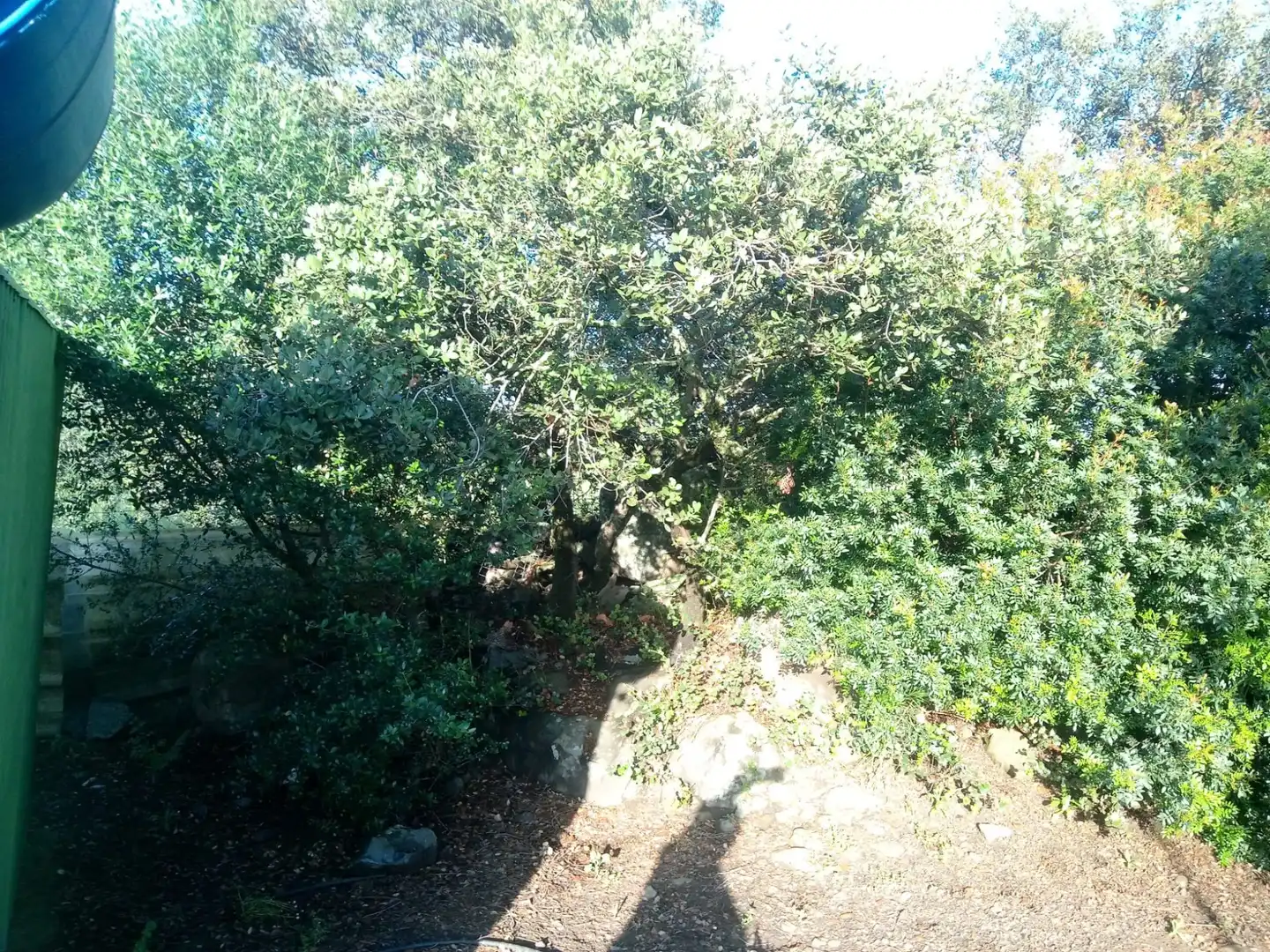 Terreni e lotti in vendita a Castilblanco de los Arroyos, imagen 27