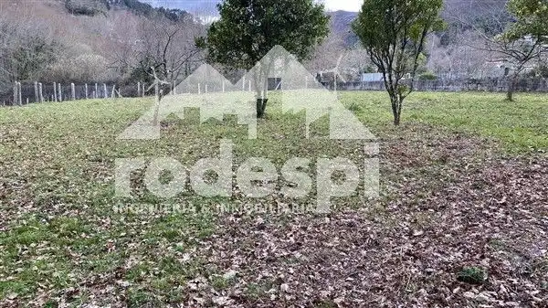 Terreny rústic en venda a A Cañiza, imagen 9