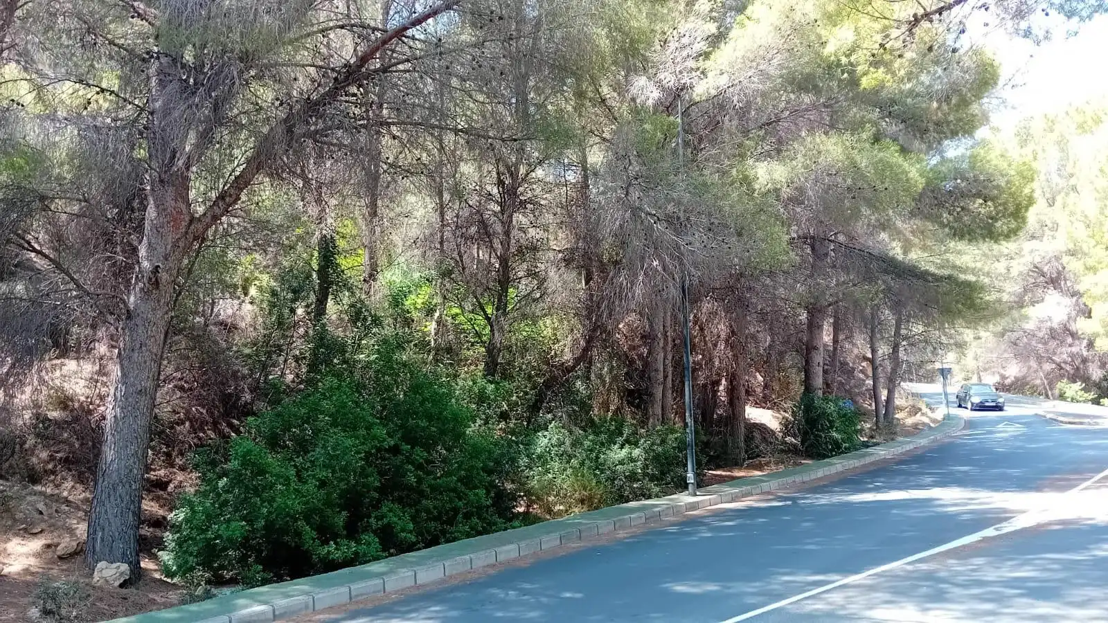 Lands and plots for sale in Mascarat, imagen 3